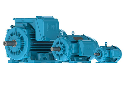 Weg: IEC Tru-Metric W22 NEMA Premium Efficiency