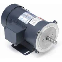 rs leeson DC motor offering, material