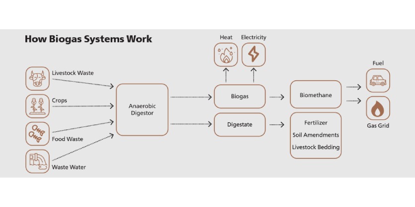 Q&A with HELU: Cables for the Production of Biogas